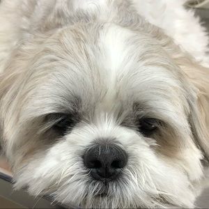 Meet your Posher, Paris